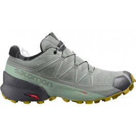 Salomon Кросівки SPEEDCROSS 5 GTX W L41612800 р.36 2/3 UK 4 22 см сірий