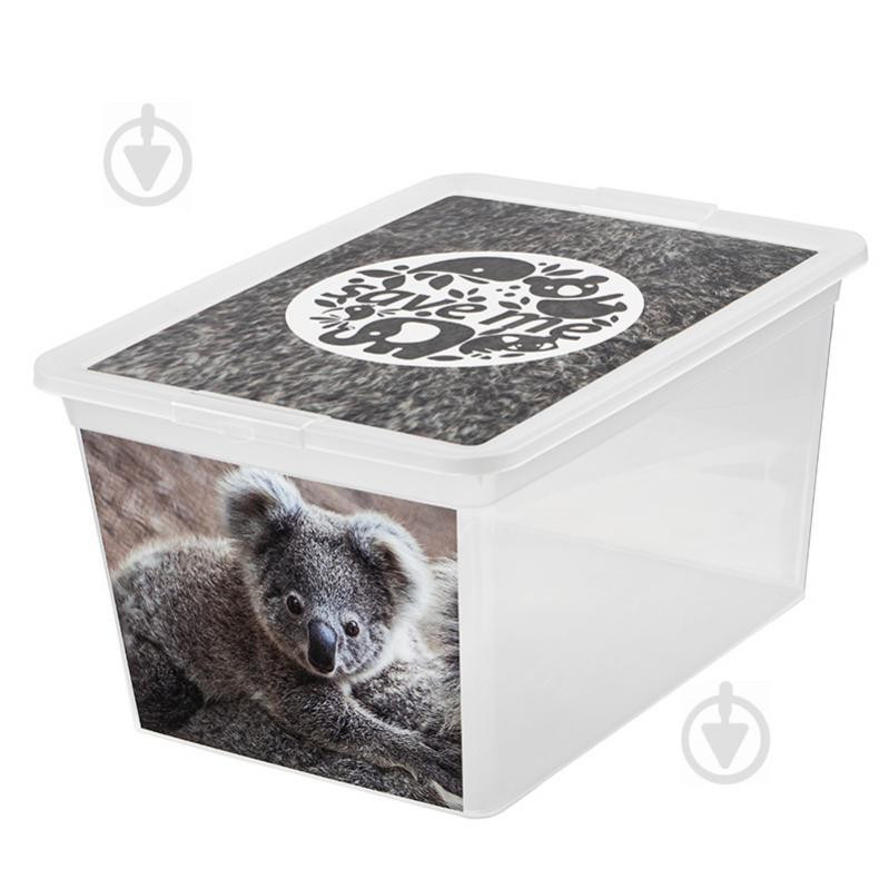 Branq Ящик для зберігання  7330.2 X-BOX з малюнком "коала" 30 л (5901098733083) - зображення 1