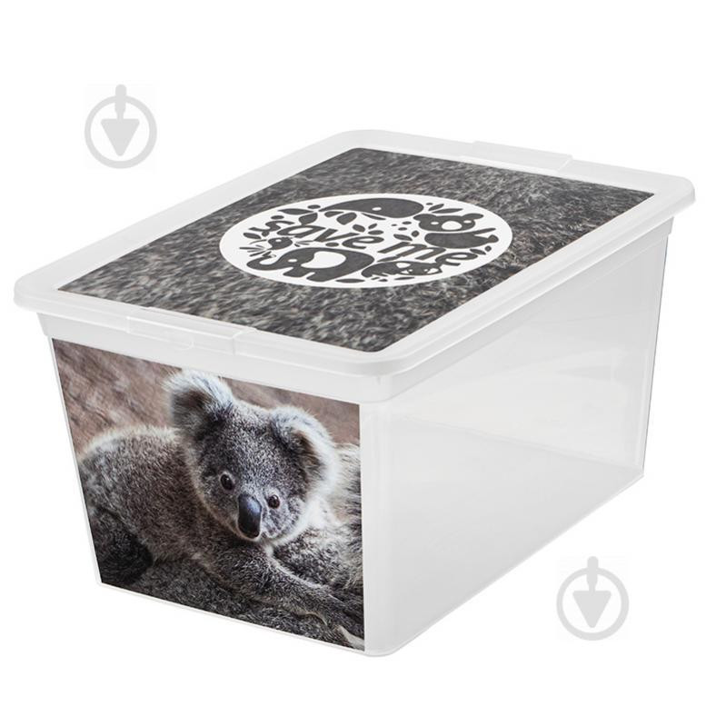 Branq Ящик для зберігання  7315.2 X-BOX з малюнком "коала"15 л (5901098731577) - зображення 1