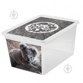 Branq Ящик для зберігання  7315.2 X-BOX з малюнком "коала"15 л (5901098731577)