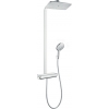 Hansgrohe Raindance Select Showerpip 27112000 - зображення 1