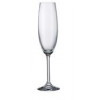 Crystalite Набор бокалов для шампанского Gastro 220мл 4S032/00000/220 - зображення 1