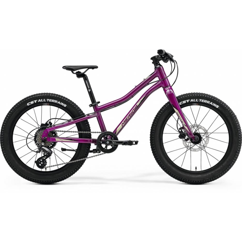 Merida Matts J.20+ 2022 / рама 10" purple - зображення 1