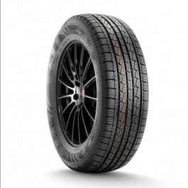 DoubleStar DS01 (225/60R18 100T)
