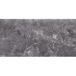   Opoczno TENEZA GREY GLOSSY 29, 7x60 G1