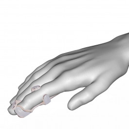 Variteks Лонгет (корсет-шина) типа "Лягушка" на палец руки, S, M, L,  335