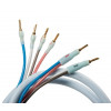 SUPRA Cables Quadrax - зображення 1