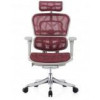 Comfort Seating Ergohuman Plus Luxury (EHPL-AG-HAM-ZB6) - зображення 2