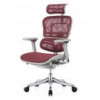 Comfort Seating Ergohuman Plus Luxury (EHPL-AG-HAM-ZB6) - зображення 3