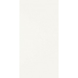   Paradyz SYNERGY Bianco SCIANA 30X60 G1