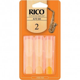   RICO RKR0520