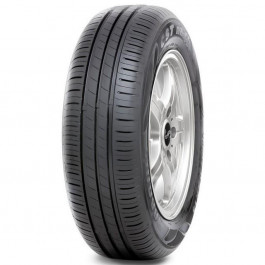 CST tires Marquis MR-C5 (205/55R16 91V)