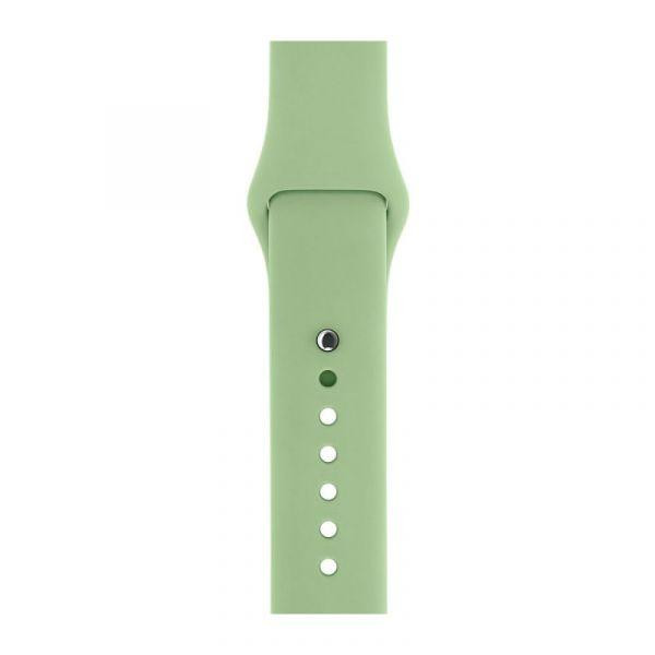 Fashion Case Ремінець Apple Watch 42/44mm Sport Band (S/M & M/L) Mint OEM - зображення 1