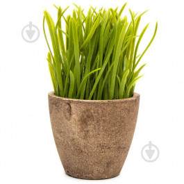 Devilon Растение искусственное Трава в квадратном горшочке 15 см 960330 (5102681960330)