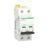 Schneider Electric Acti 9 iC60H 2P 2A D (A9F85202) - зображення 1