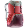 Deuter Walker 20 / cranberry-aubergine (3810617 5005) - зображення 1