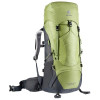 Deuter Aircontact Lite 35+10 SL / pistachio-graphite (3340221-2435) - зображення 1