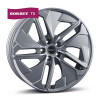 Borbet TX (R20 W9.0 PCD5x112 ET20 DIA66.5) - зображення 1