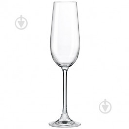 RONA Набір келихів для шампанського MAGNUM 3276 180 мл 2 шт. (8581782088469)