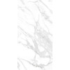 Intergres Плитка  Arctic сірий полірований 60x120 1206031071 / L - зображення 1