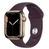 Apple Watch Series 7 GPS + Cellular 41mm Gold S. Steel Case w. Dark Cherry Sport Band (MKHG3) - зображення 1