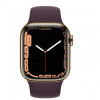 Apple Watch Series 7 GPS + Cellular 41mm Gold S. Steel Case w. Dark Cherry Sport Band (MKHG3) - зображення 2