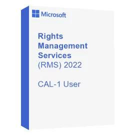 Microsoft Rights Management Services (RMS) 2022 CAL- 1 User (DG7GMGF0D5SL-0002) - зображення 1