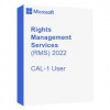 Microsoft Rights Management Services (RMS) 2022 CAL-1 Device (DG7GMGF0D5SL-0007) - зображення 1