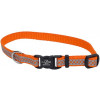 Coastal Нашийник  Lazer для собак світловідбиваючий помаранчевий 1 смx20-30 см (44449) - зображення 1
