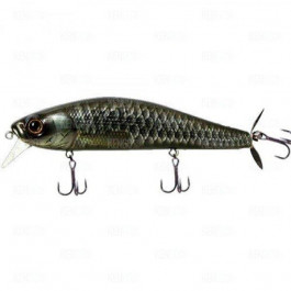 Deps Spiralminnow (18)