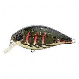 Ever Green Combat Crank Shallow Hawg / 287