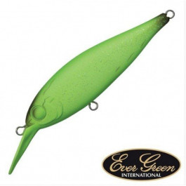 Ever Green Bank Shad 5.8cm (876)