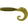 Reins Fat G-tail Grub 3" (060 Onga River Moneybait) - зображення 1