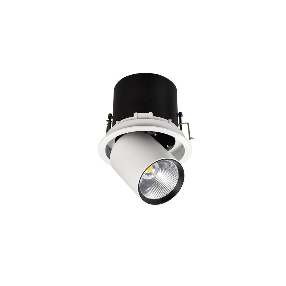 Skarlat Точковий світильник RSL74114 25W WH+BK 3000K - зображення 1