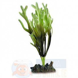   Aquarium Systems Искусственные растения Aquarium Systems SeaGarden Dictyota verde (средняя)