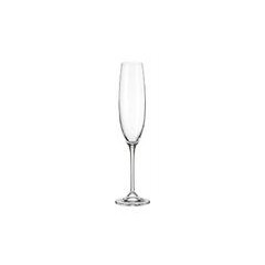 Crystalite Набор бокалов для шампанских вин Fulica 250мл 1SF86/00000/250 - зображення 1