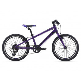 Giant ARX 20 2021 / рама 45см purple (2104040610)