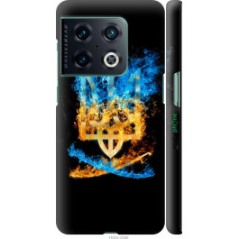   Endorphone 3D пластиковий матовий чохол на OnePlus 10 Pro Герб 1635m-2588-38754