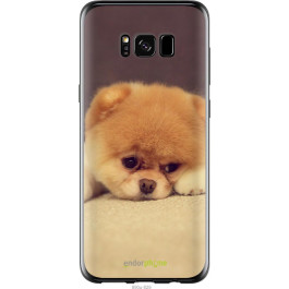 Endorphone Силіконовий чохол на Samsung Galaxy S8 Boo 2 890u-829-38754