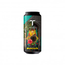 Talava Apple Cider Dry 0,44 л (4751026240371)