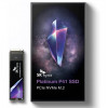 SK hynix Platinum P41 500 GB (SHPP41-500GM-2) - зображення 1