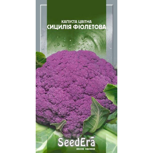 ТМ "SeedEra" Семена Seedera капуста цветная Сицилия фиолетовая 0,5г - зображення 1