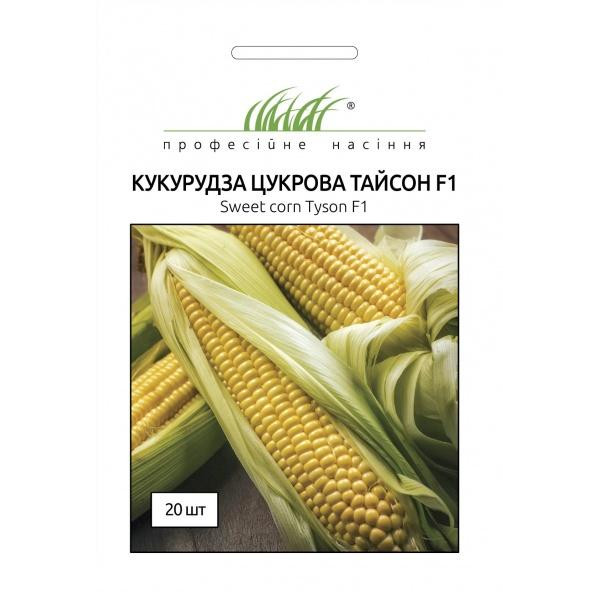 Syngenta Семена Професійне насіння кукуруза сахарная Тайсон 20 шт. (4820176696809) - зображення 1