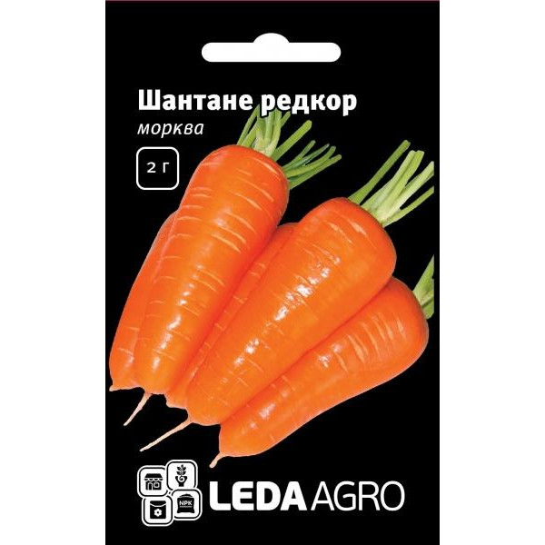 LedaAgro Семена  морковь Шантане Редкор F1 2г - зображення 1