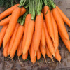 Професійне насіння Семена  морковь Сиркана F1 400 шт. (4823058206998) - зображення 2