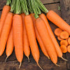 Професійне насіння Семена  морковь Сиркана F1 400 шт. (4823058206998) - зображення 3