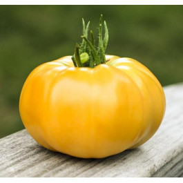 Професійне насіння Семена  томат высокорослый Ямамото (KS 10) F1 8 шт. (4820176690784)