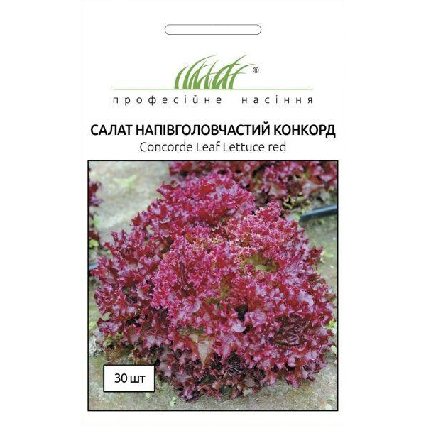 Професійне насіння Семена  салат Конкорд 30 шт. (4820176694140) - зображення 1