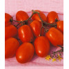 Професійне насіння Семена  томат низкорослый Ксико F1 20 шт. (4820176693372) - зображення 2