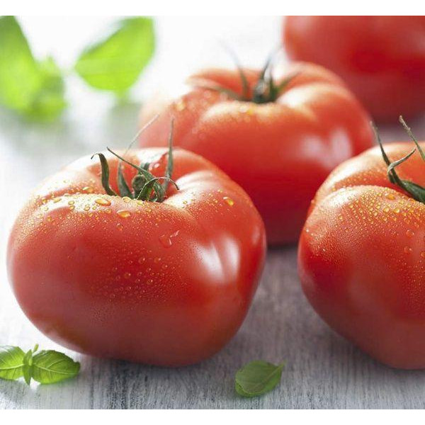 Професійне насіння Семена  томат низкорослый Уракан F1 20 шт. (4823058208626) - зображення 1